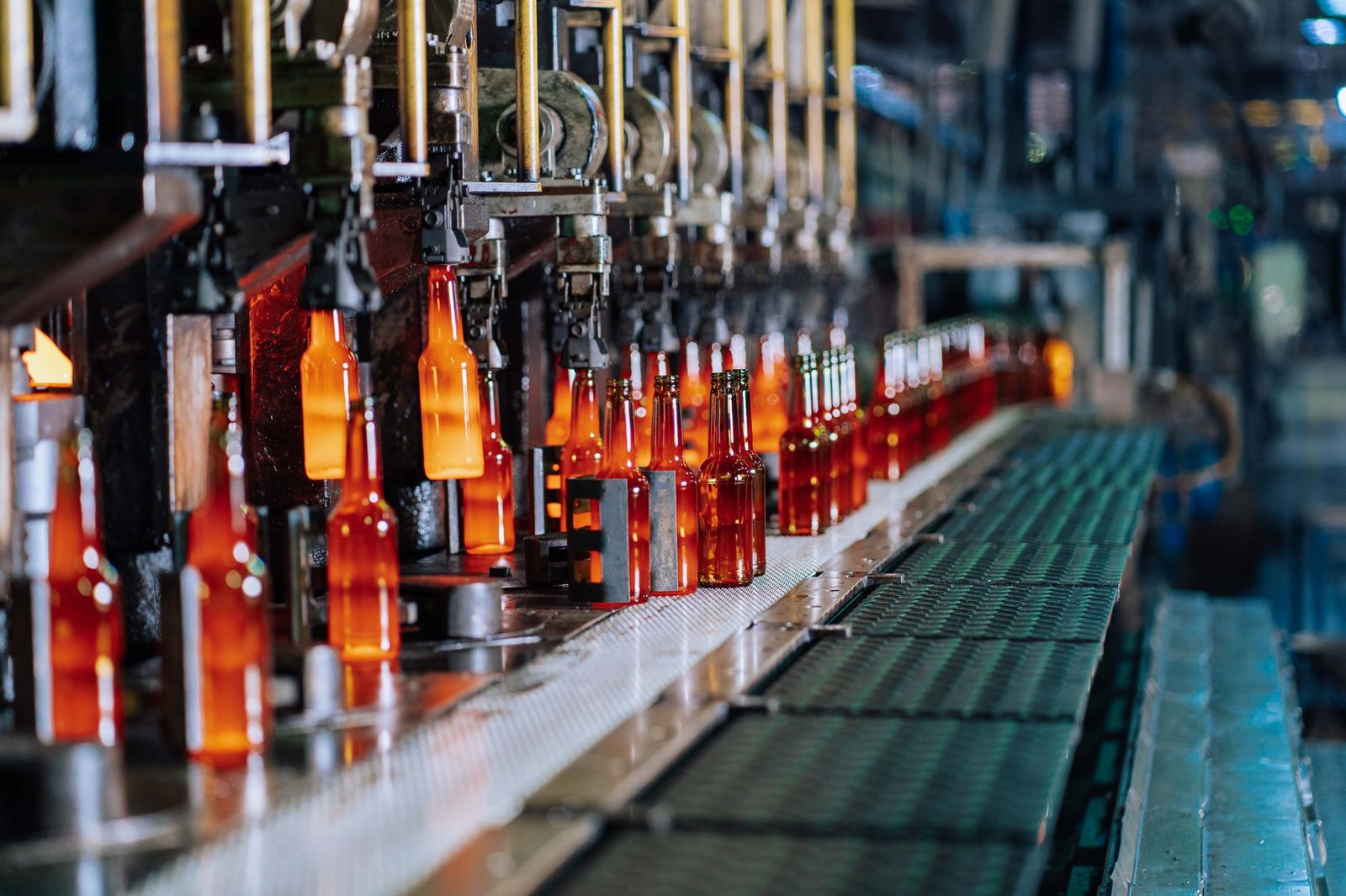 Glass bottles moving through an automated production line at a glass bottle factory