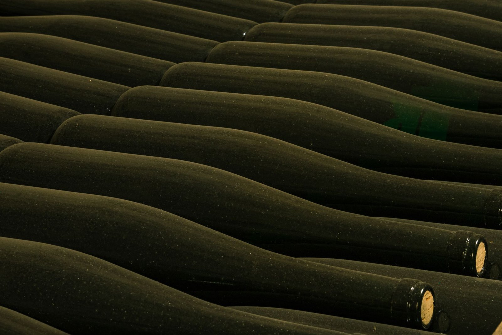 Rows of champagne-style glass bottles stored in a winery cellar